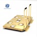 DDR Golden Arcade-USB Dual Pad 