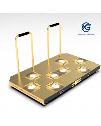 DDR Golden Arcade-USB Dual Pad 