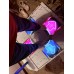 DDR CLASSIC Ultimate Version Pad for Canada Cam！